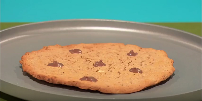 Delicious (fake) cookie